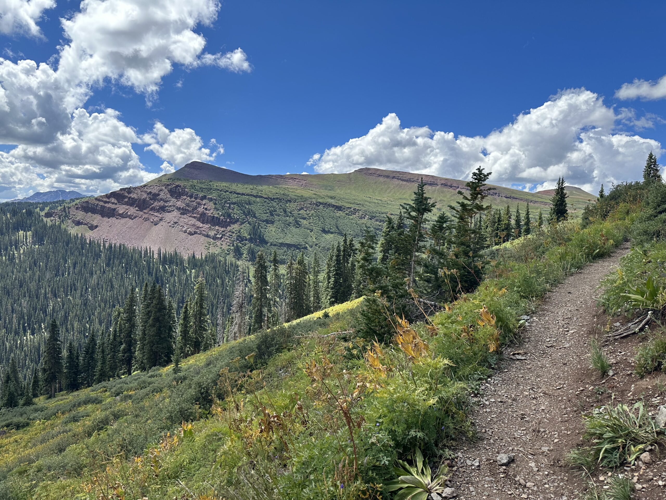 A photo I took from the Colorado Trail